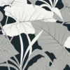 ANTILLES • FEUILLE D'ALOCASIA GÉANTE – Image 2