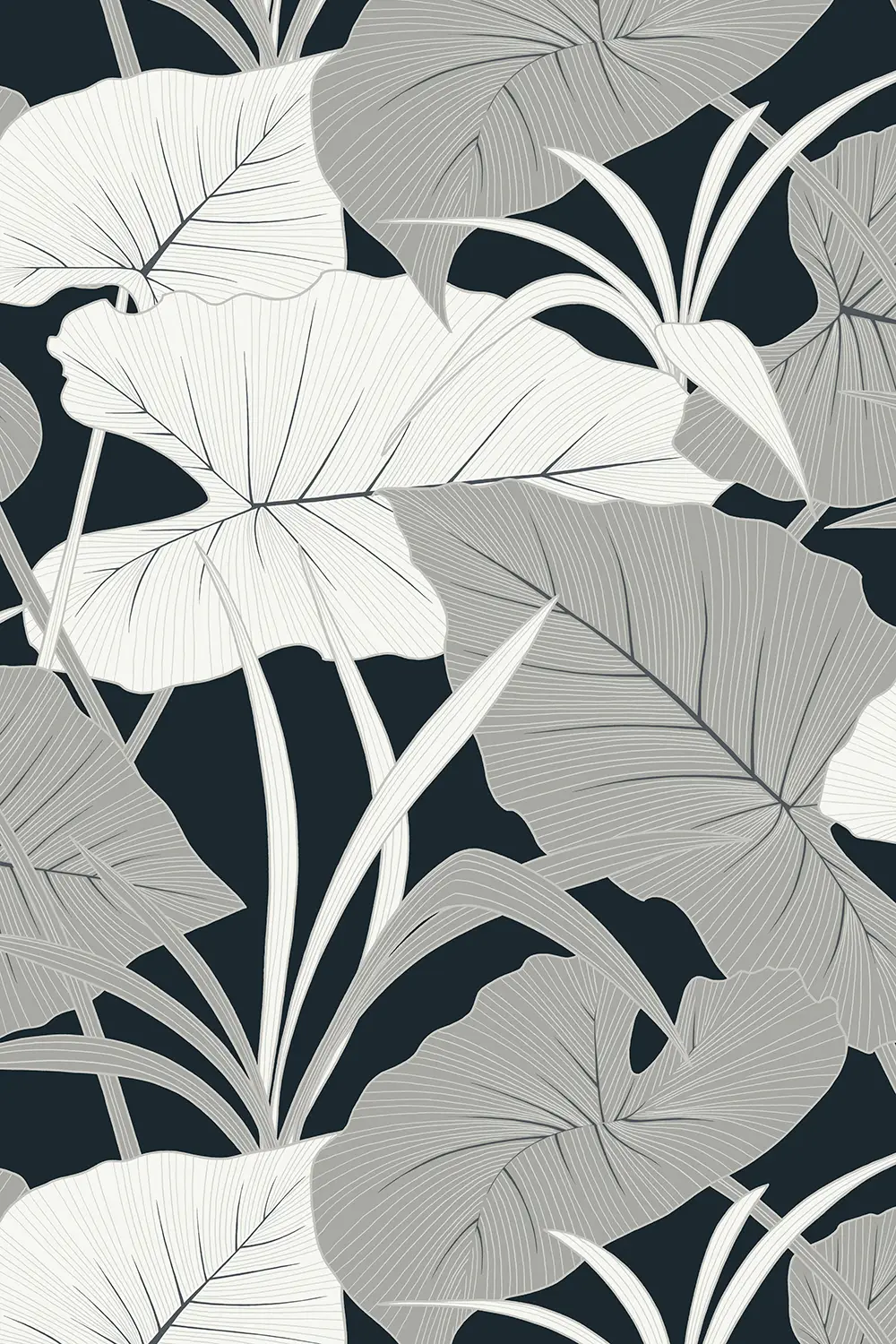 ANTILLES • FEUILLE D'ALOCASIA GÉANTE – Image 2