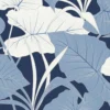 ANTILLES • FEUILLE D'ALOCASIA GÉANTE – Image 4