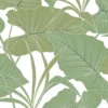 ANTILLES • FEUILLE D'ALOCASIA GÉANTE – Image 5