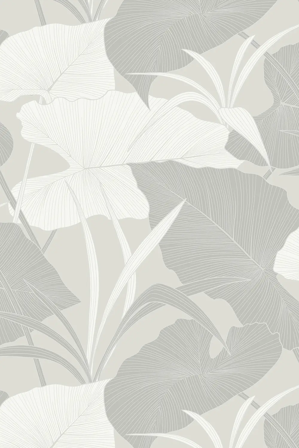 ANTILLES • FEUILLE D'ALOCASIA GÉANTE – Image 6