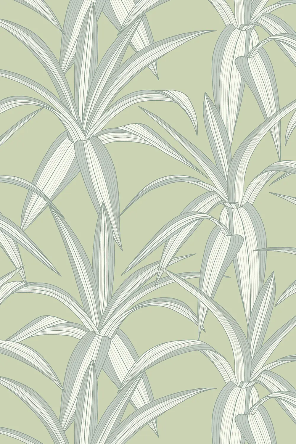 CAMILA • FEUILLE FINE INCURVÉE – Image 5
