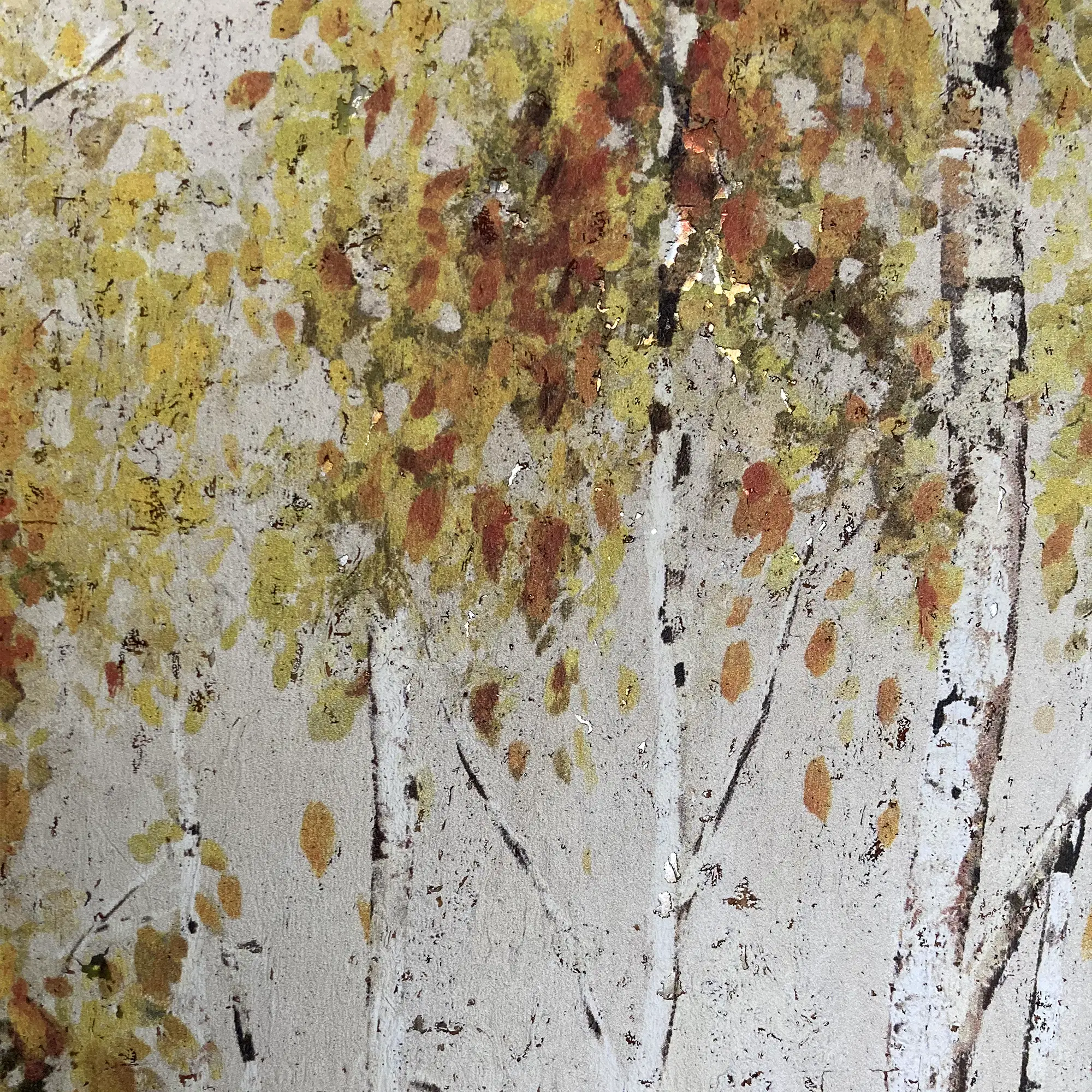 ASPEN TREE (liège) – Image 2