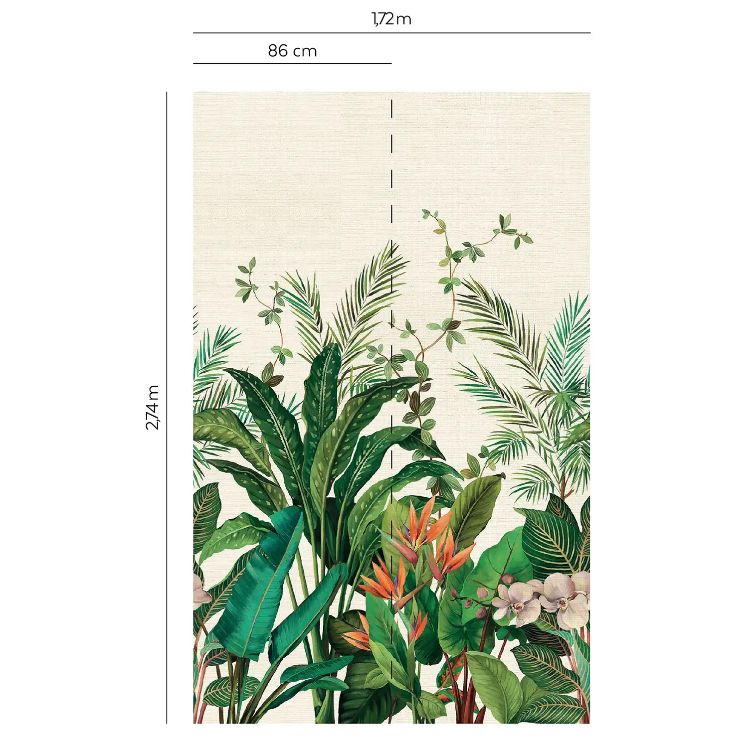 BIRD OF PARADISE (paille japonaise) – Image 3