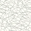 TENEBRIA • LIGNES COURBES – Image 3