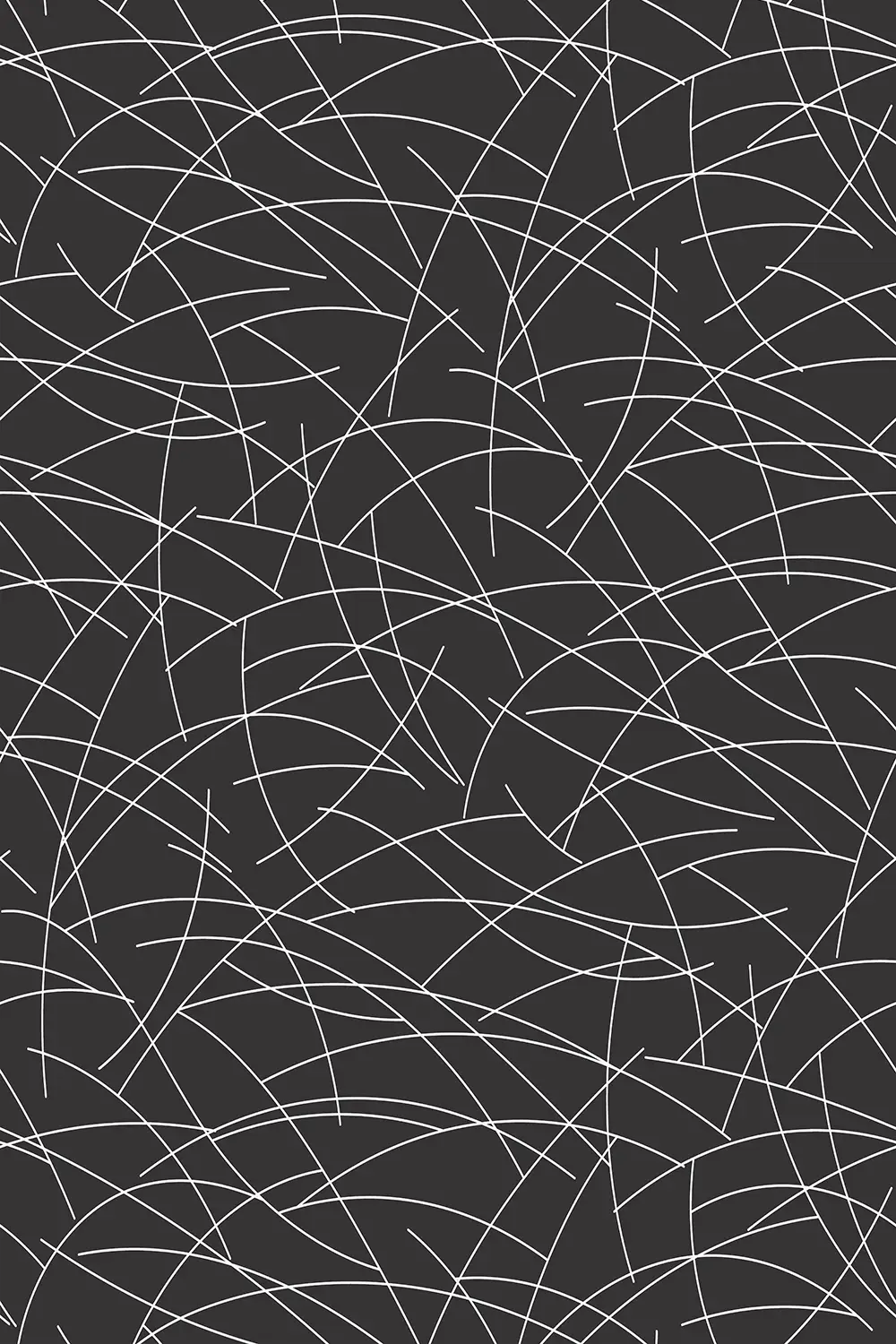 TENEBRIA • LIGNES COURBES – Image 2