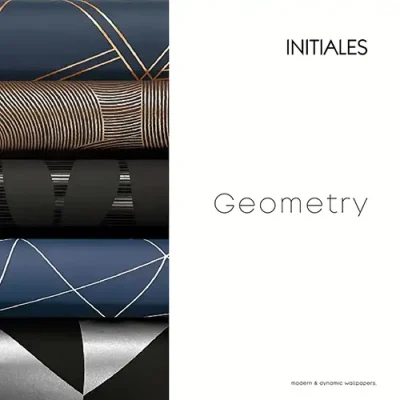 Couverture Geometry