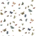 Alternative view of BUTTERFLY HOUSE