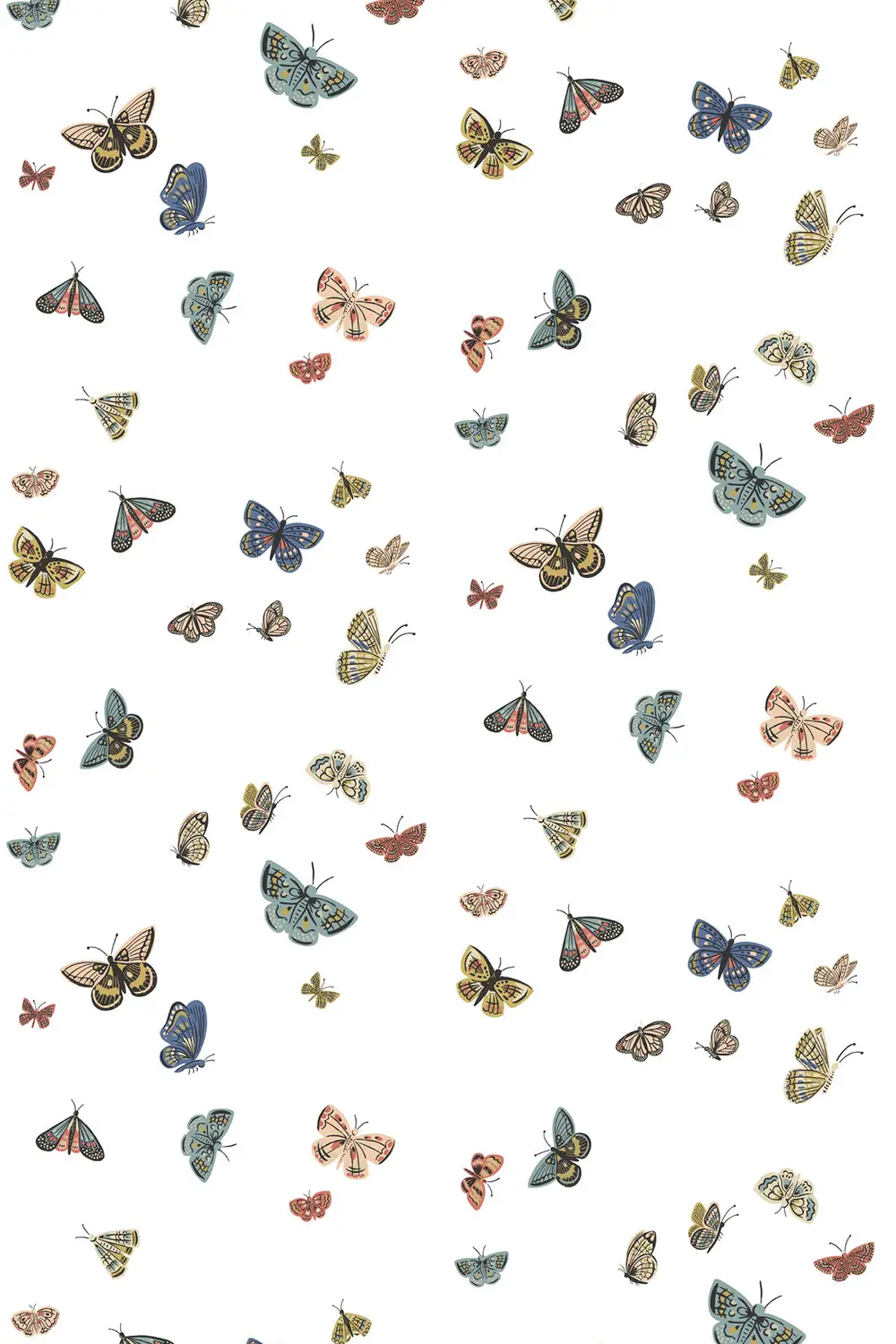 BUTTERFLY HOUSE – Image 2