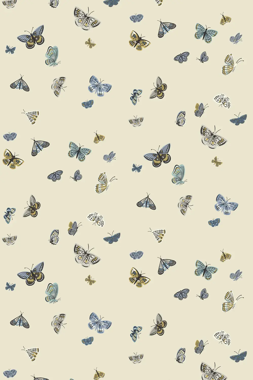 BUTTERFLY HOUSE – Image 4