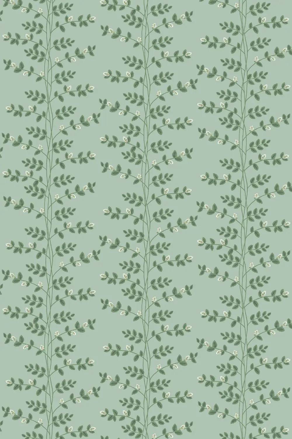 CLIMBING VINE – Image 2
