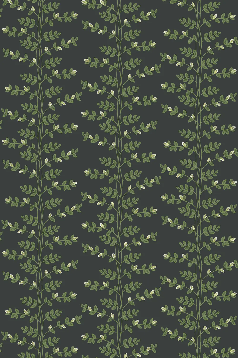 CLIMBING VINE – Image 4