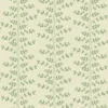 CLIMBING VINE – Image 6