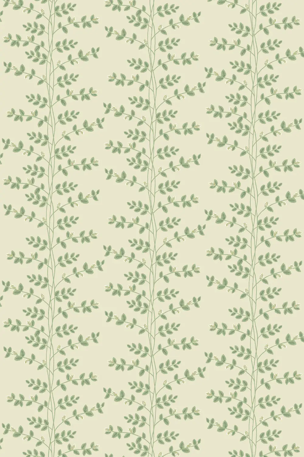 CLIMBING VINE – Image 6