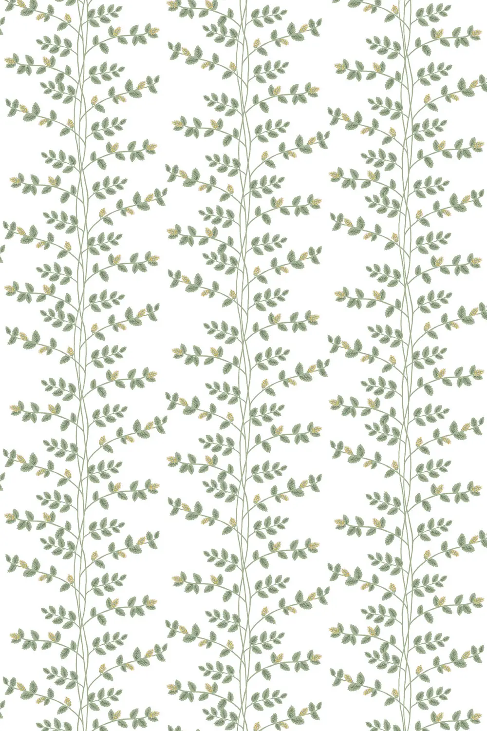 CLIMBING VINE – Image 8
