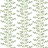 CLIMBING VINE – Image 10