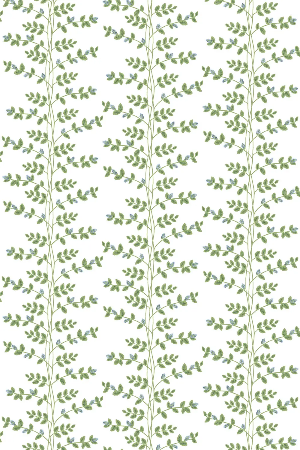 CLIMBING VINE – Image 10
