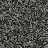 WILLOWBERRY – Image 4