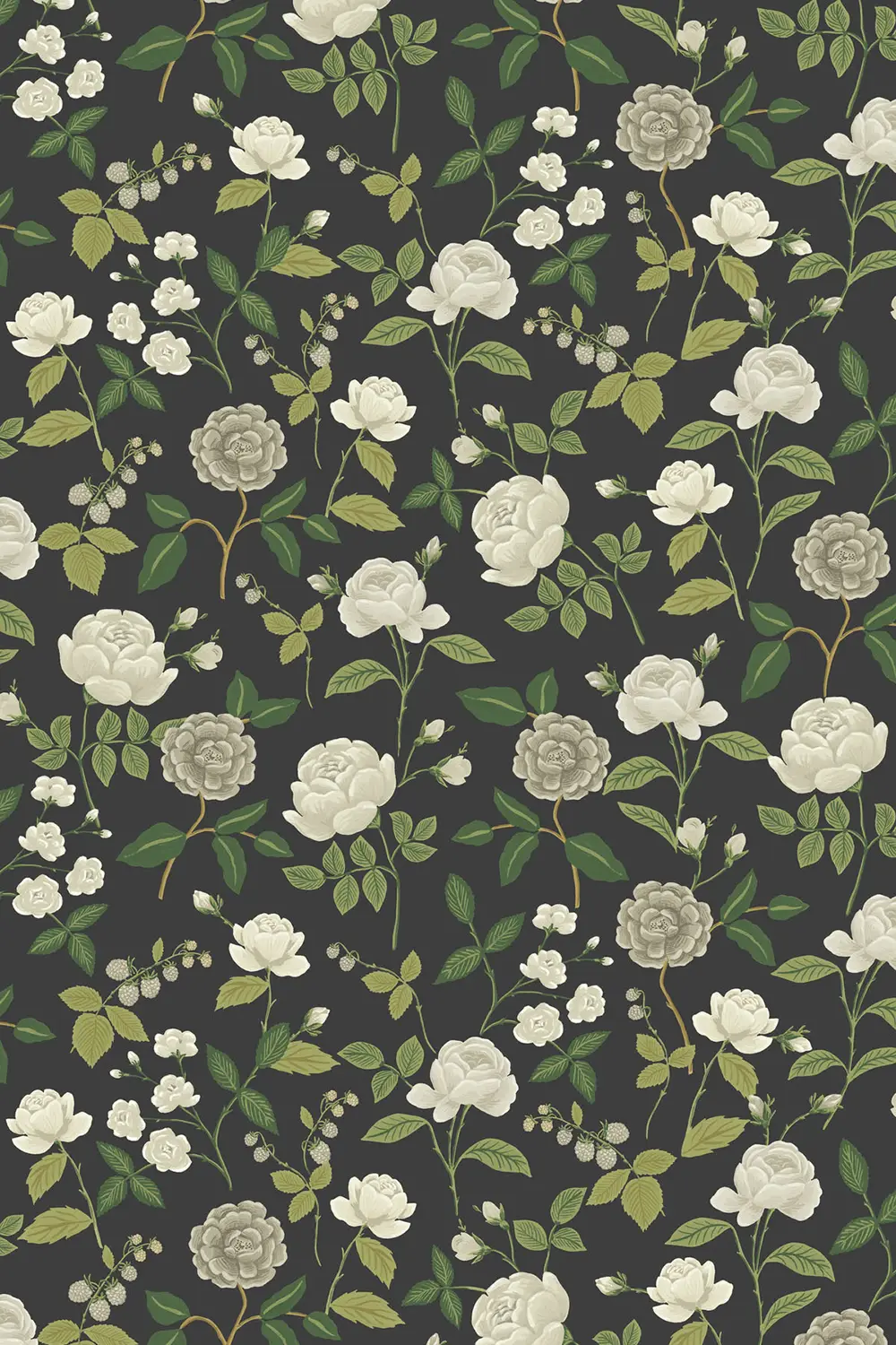 ROSES – Image 4
