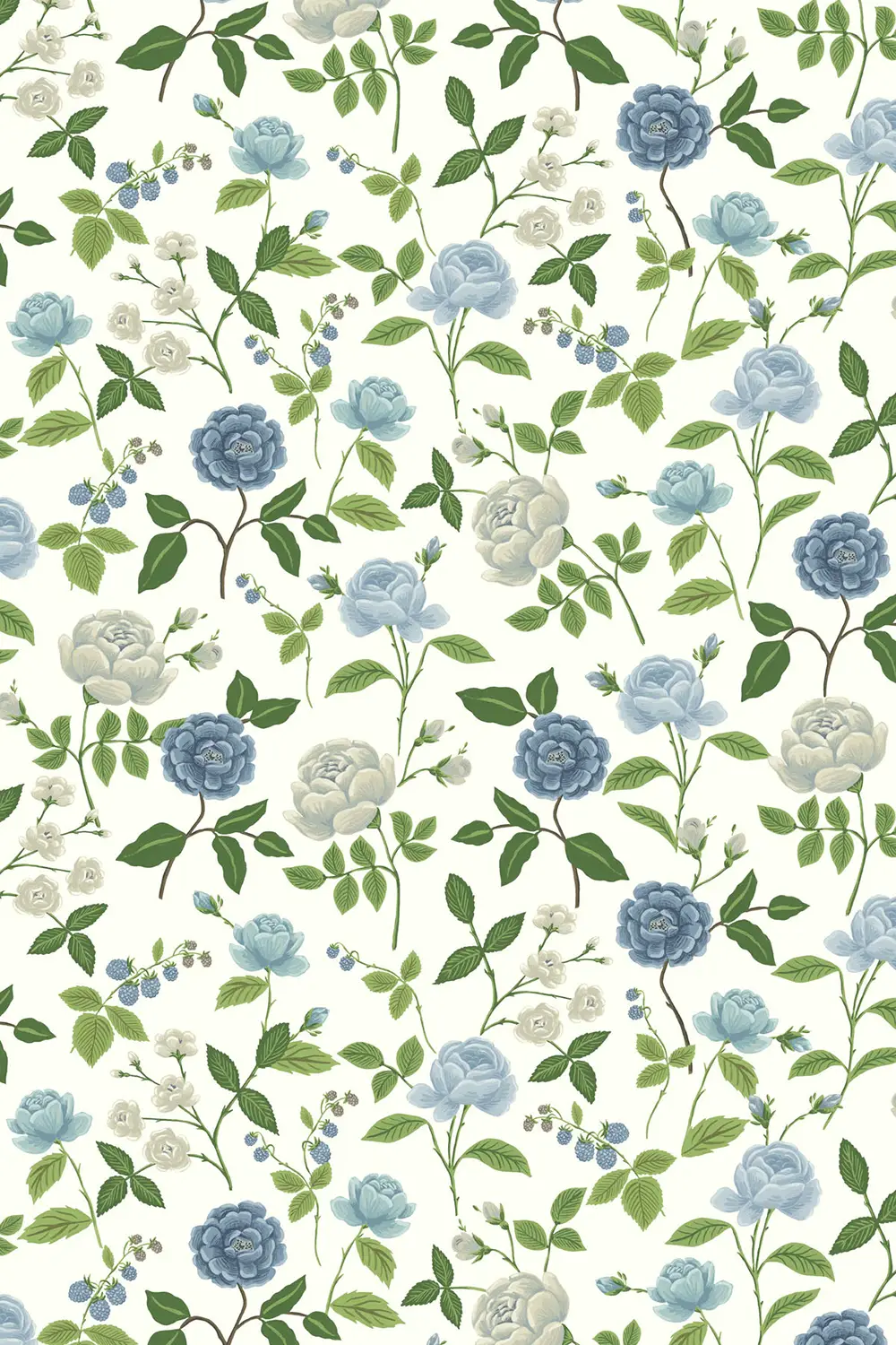 ROSES – Image 6