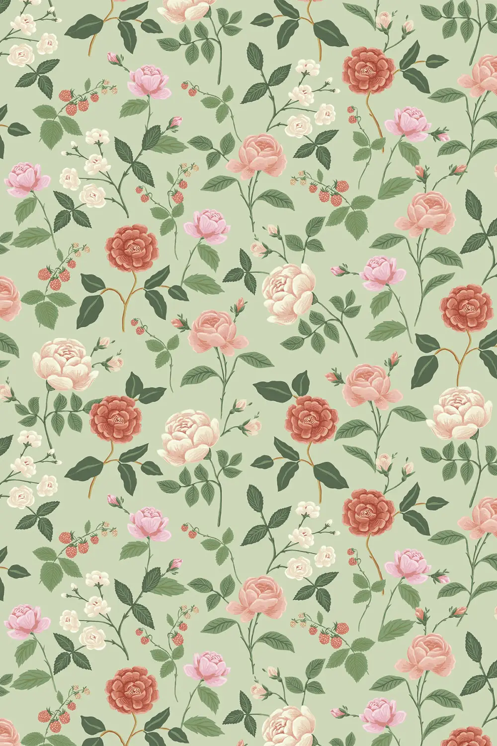 ROSES – Image 10