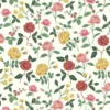 ROSES – Image 12