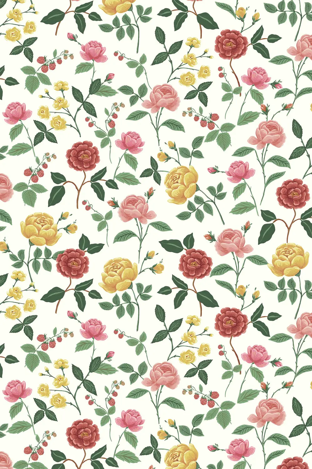 ROSES – Image 12