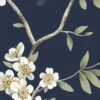 Hanami Trail Night Sky - CH30202 – Image 3