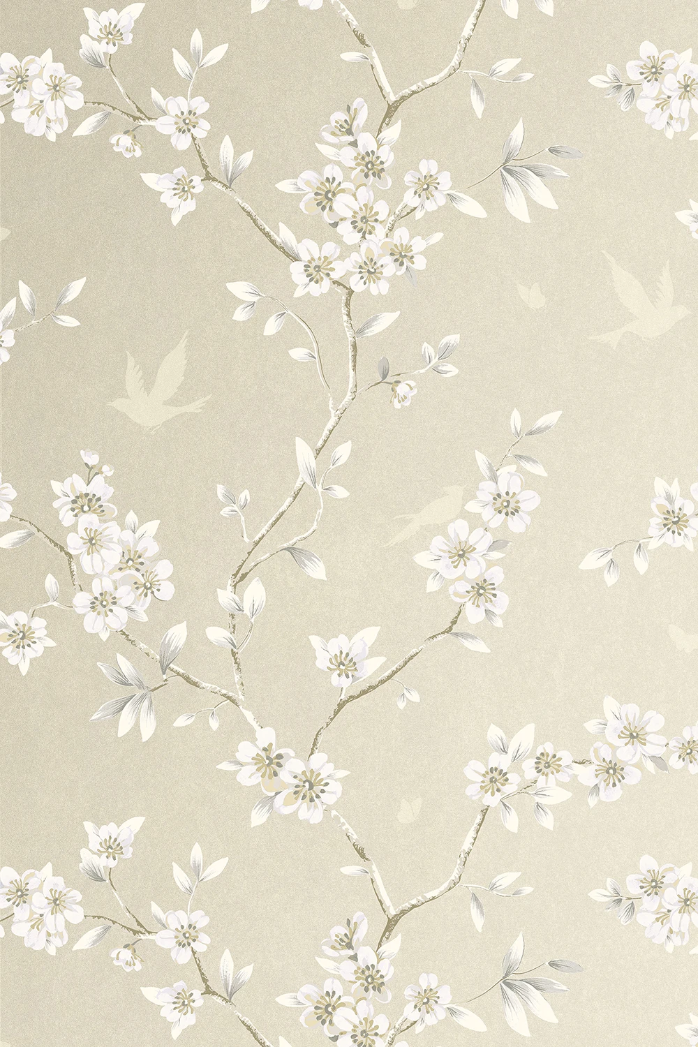 Hanami Trail Sugar - CH30205