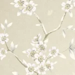 Alternative view of Hanami Trail Sugar - CH30205