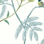 Alternative view of Kohana Branch Sky - CH30302